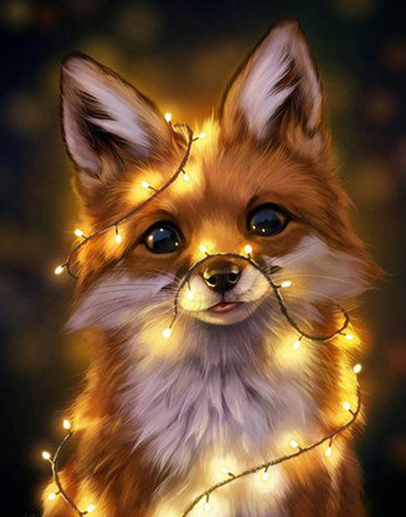 Fox The Lights Paint By Numbers Kit Art Paint By