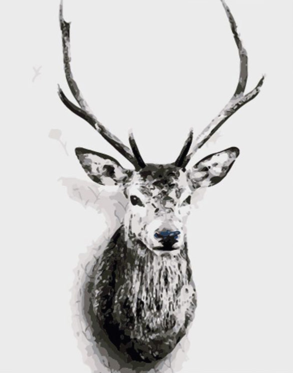 Colorless deer head