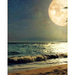 Moonlight beach waves