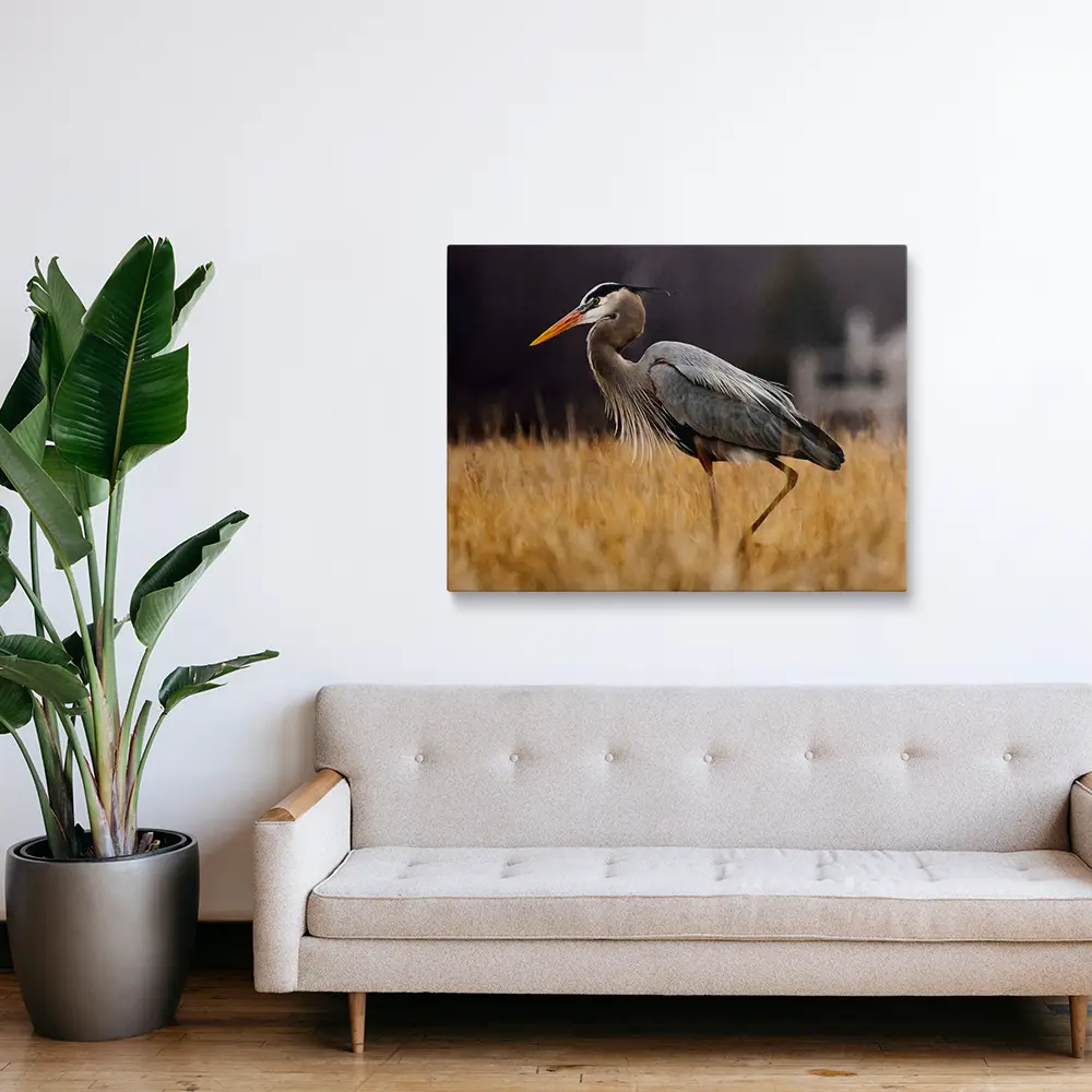 Blue heron painting