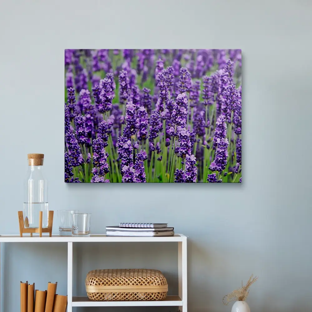 Lavender painting
