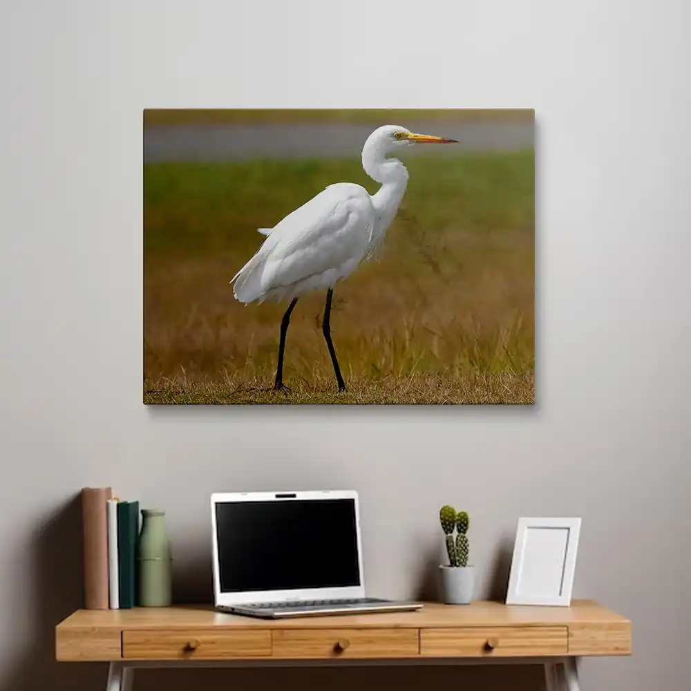 Egret painting