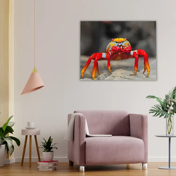 Red and yellow crab