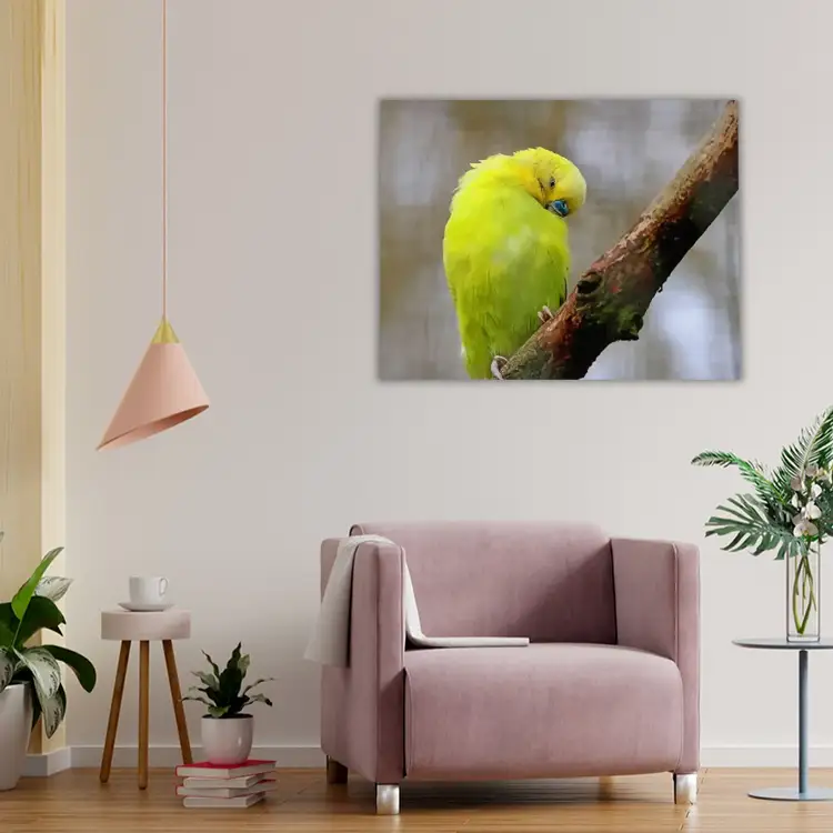 Yellow feathered wing parrot