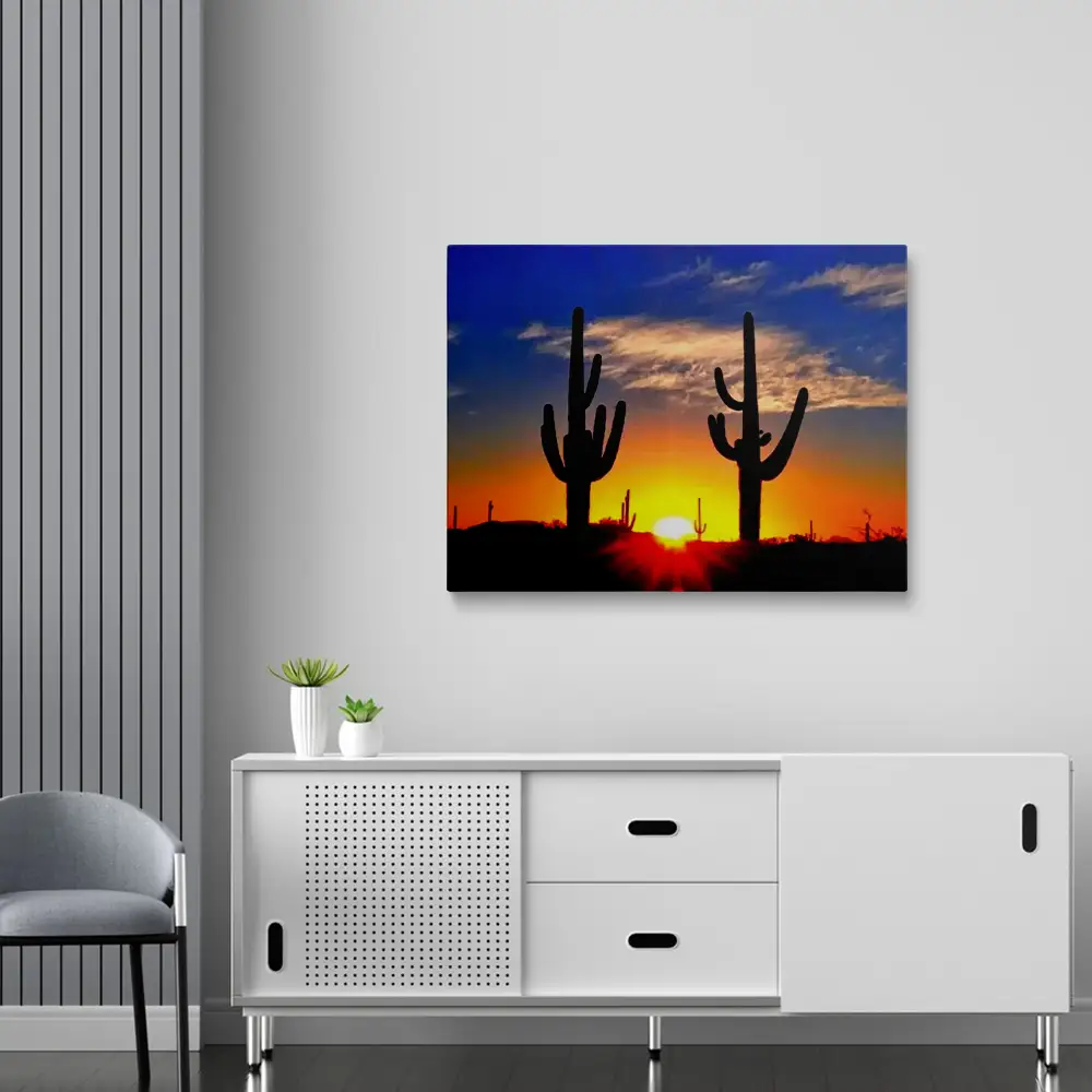Abstract cactus sunrise