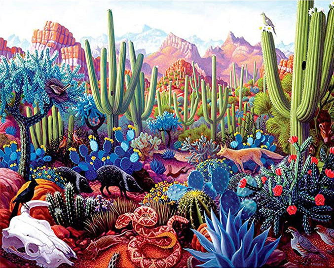 Colorful succulents desert