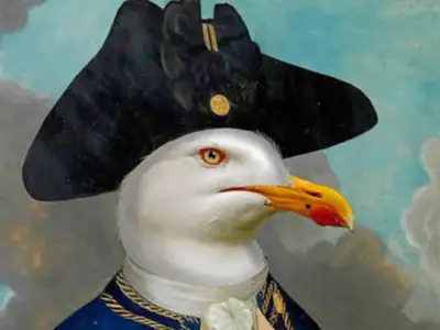 Captain Seagull