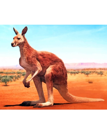 Desert-Kangaroo-paint-by-number
