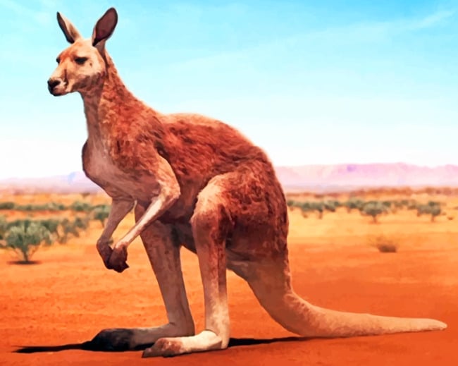 Desert-Kangaroo-paint-by-number