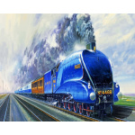 The Mallard liner train