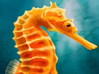 Orange seahorse