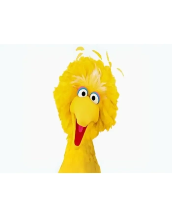 Sesame Street big bird