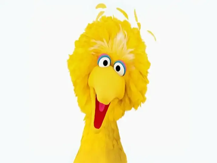 Sesame Street big bird