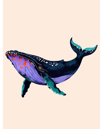 Whale Illustration