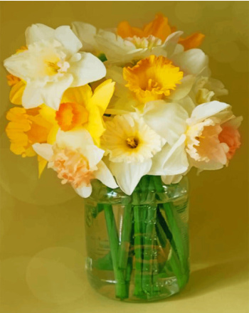 aesthetic-daffodils-paint-by-numbers