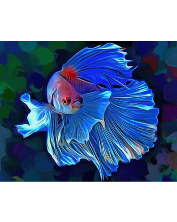 blue-fish-paint-by-numbers