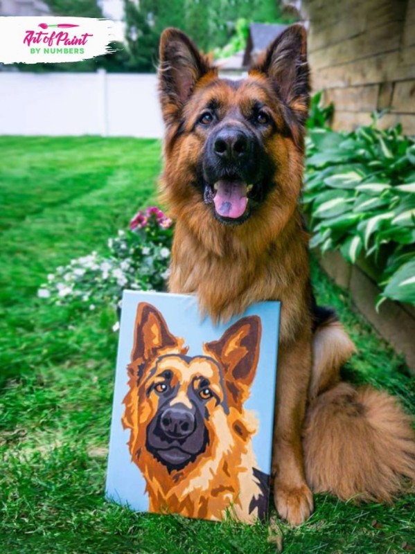 Best Custom Paint By Number With Your Photo Paint By Numbers Kit Art